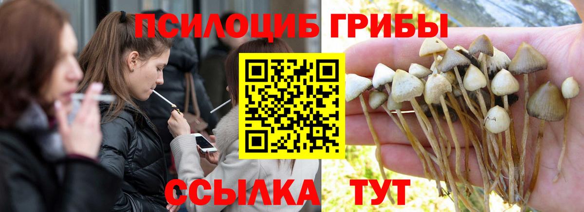 Галлюциногенные грибы ЛСД Прокопьевск