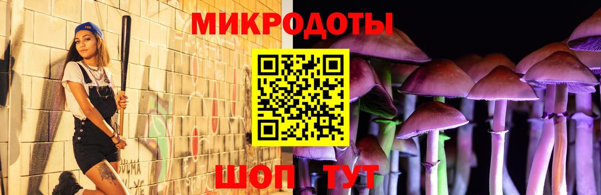 Псилоцибиновые грибы Psilocybe  Вход с VPN  Прокопьевск  Псилоцибиновые грибы GOLDEN TEACHER 
